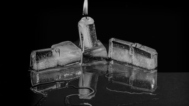 Doe Eyed Entertainment - Rebel