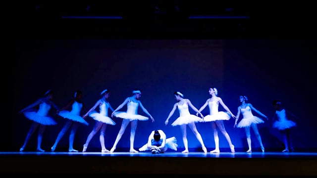 PLATINUM Jumpup show 2026 - jumpup