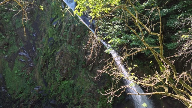 Fred the Musical - Fred Ltd