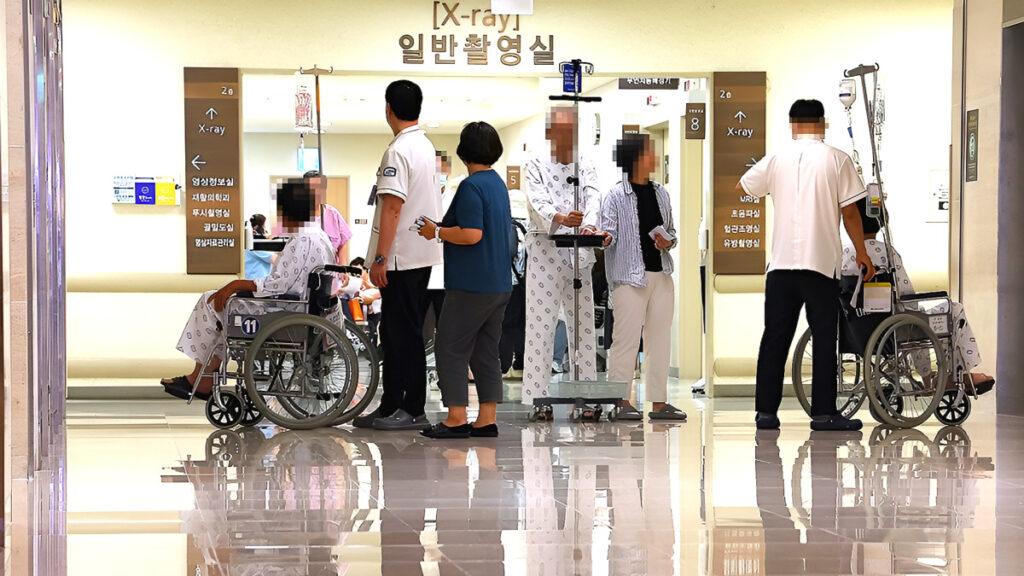 노인 진료비 증가 그래프