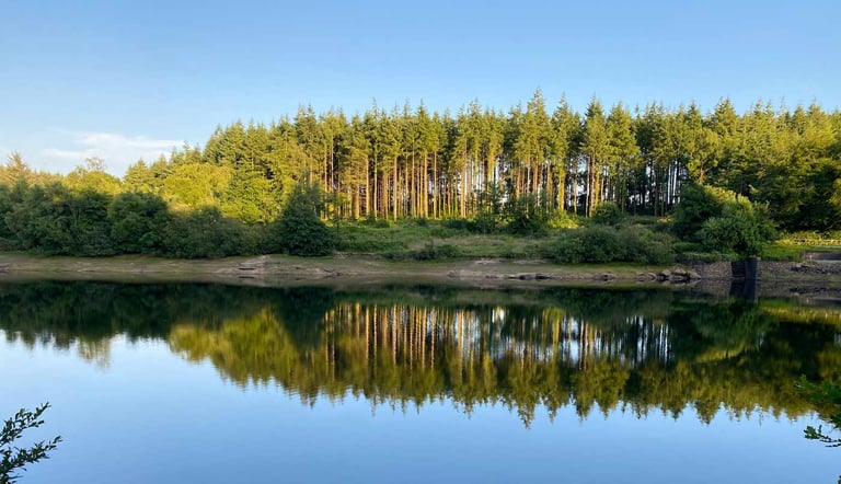 Dartmoor summer