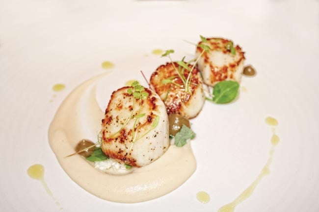 Pattard Kitchen