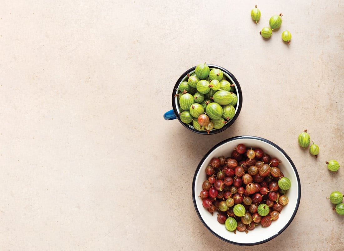 Gooseberry recipes