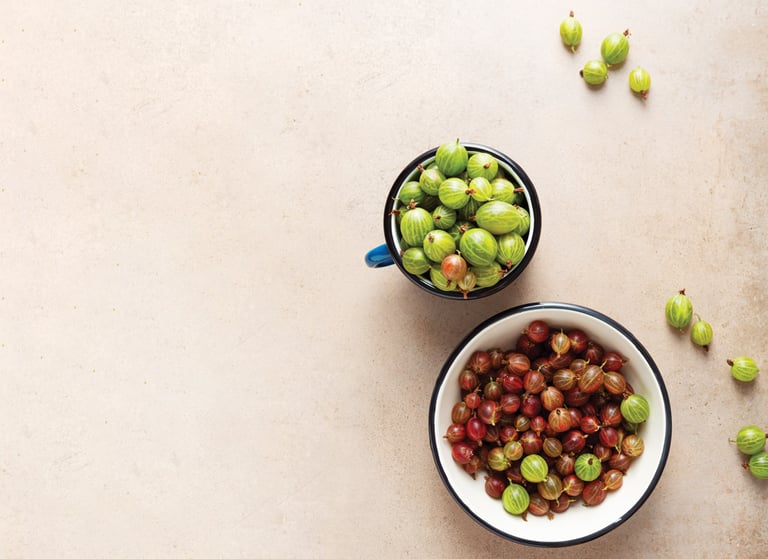 Gooseberry recipes