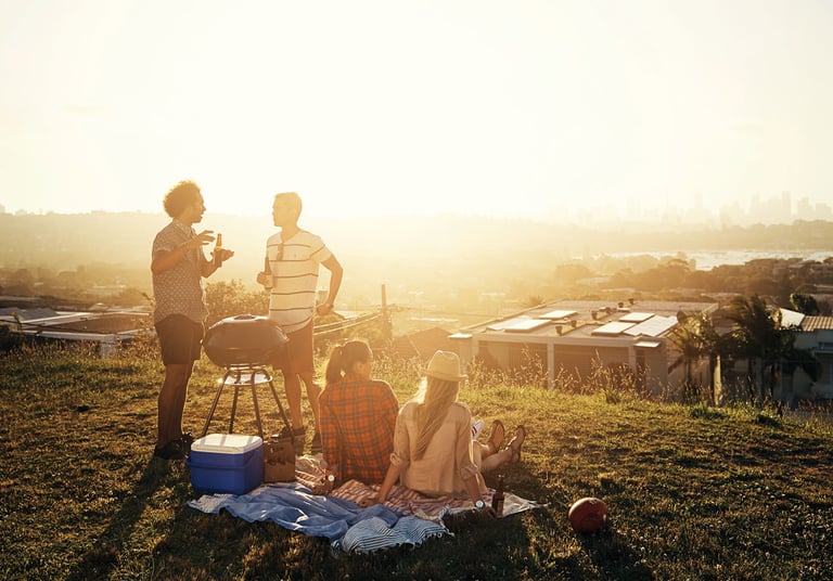 Picnic beers