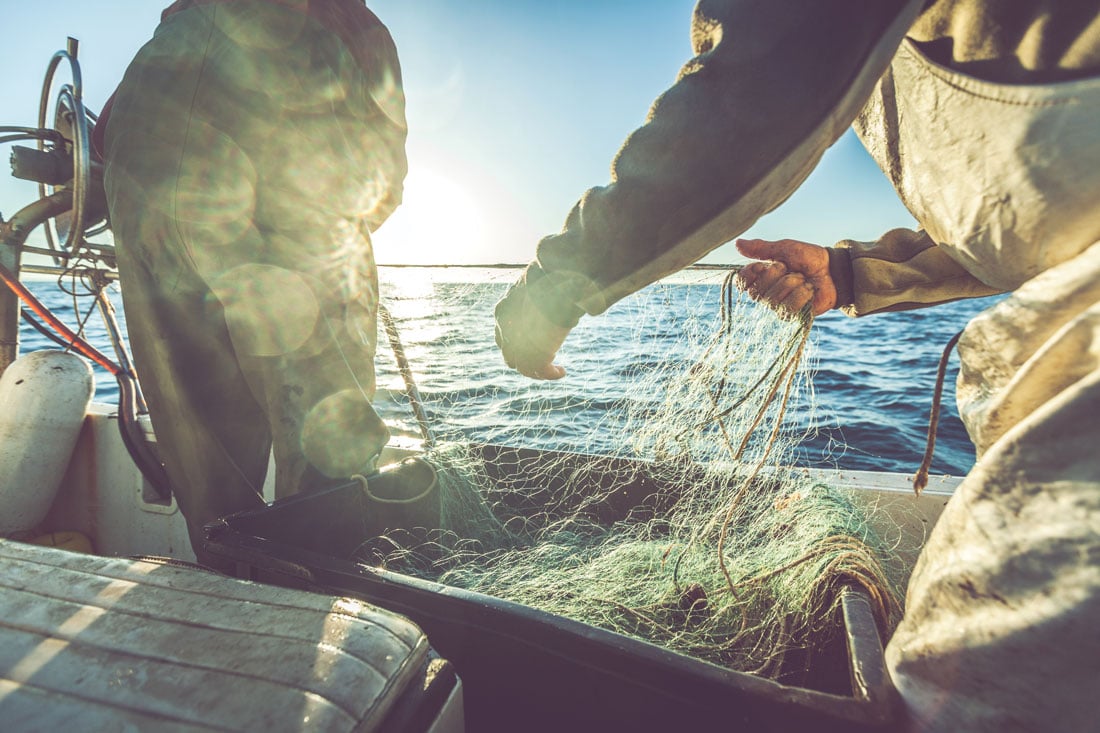 sustainable seafood - fishing boat