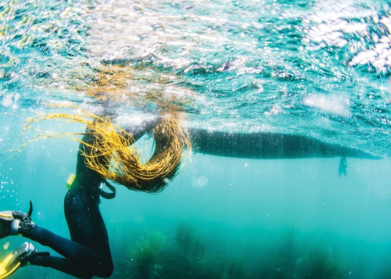 South West's most sustainable foods