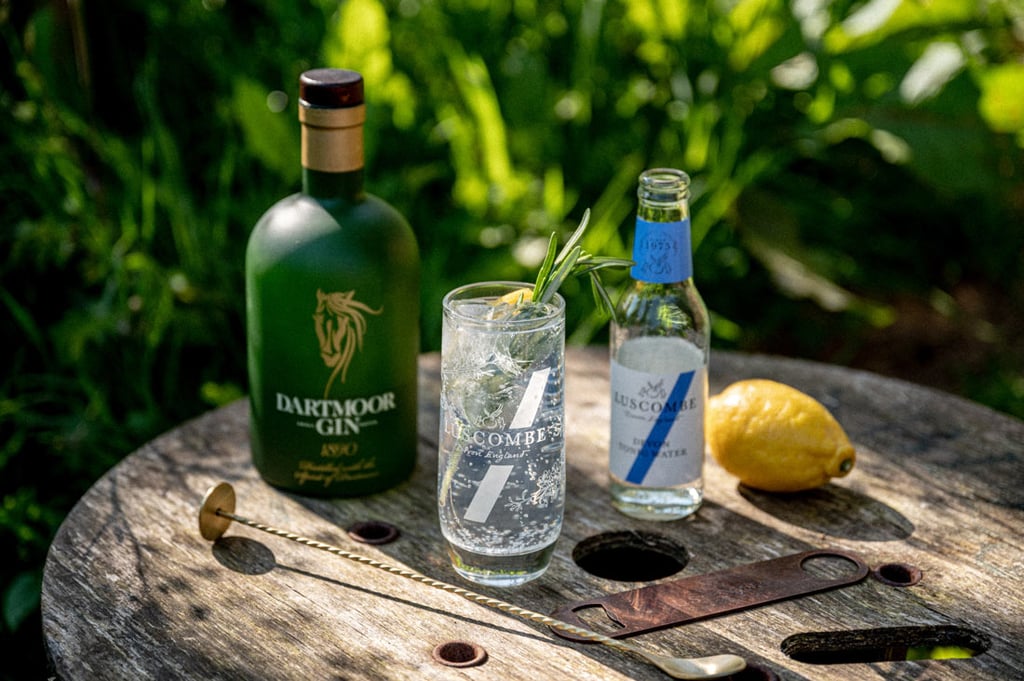 Dartmoor Gin 1890