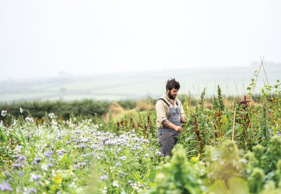 Regenerative farming - Josh Sparkes at Woolsery in north Devon