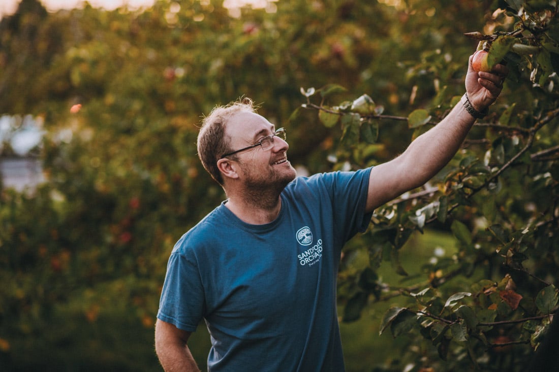 Rediscovering lost apple varieties