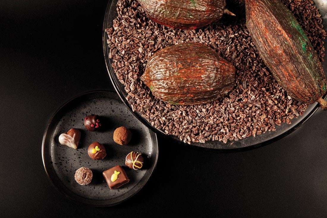 Lloyd & James Chocolate, Eat and drink like a South West local