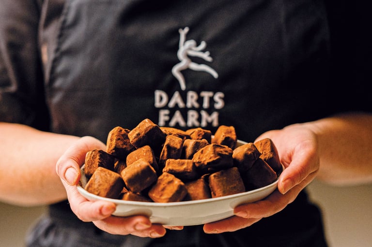 Dark chocolate truffles