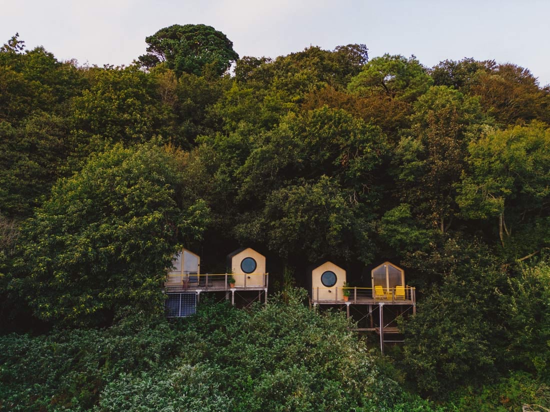 Wild Comfort, UK