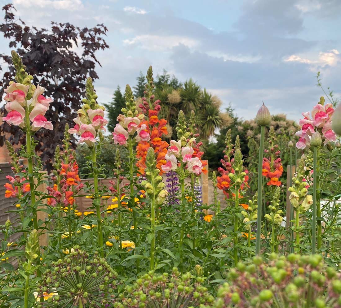 Flower Coast, indie florist in Dorset