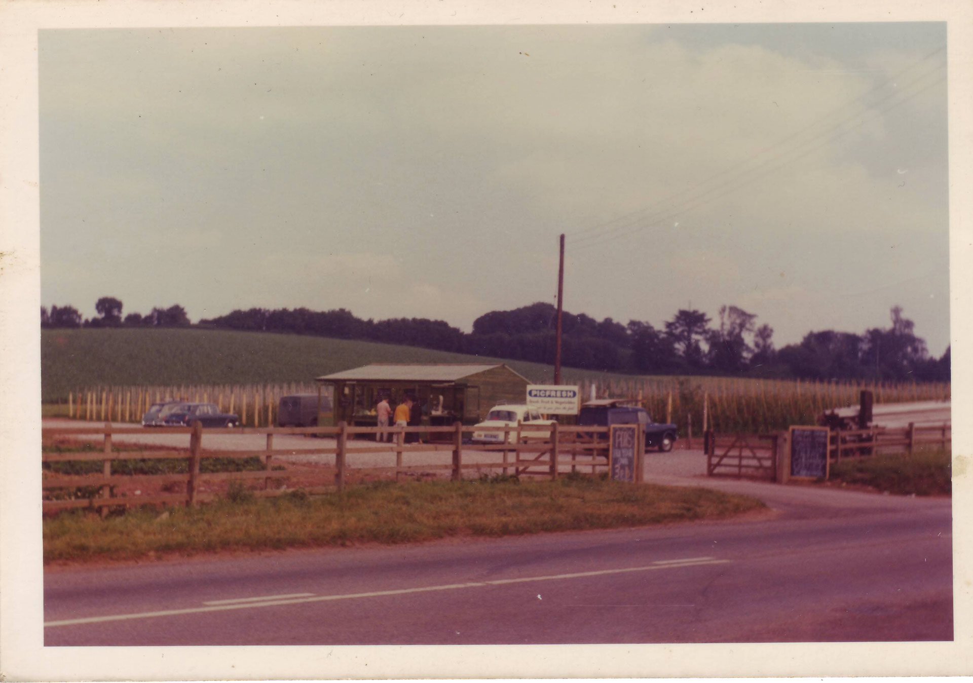 Darts Farm original pick your own shed