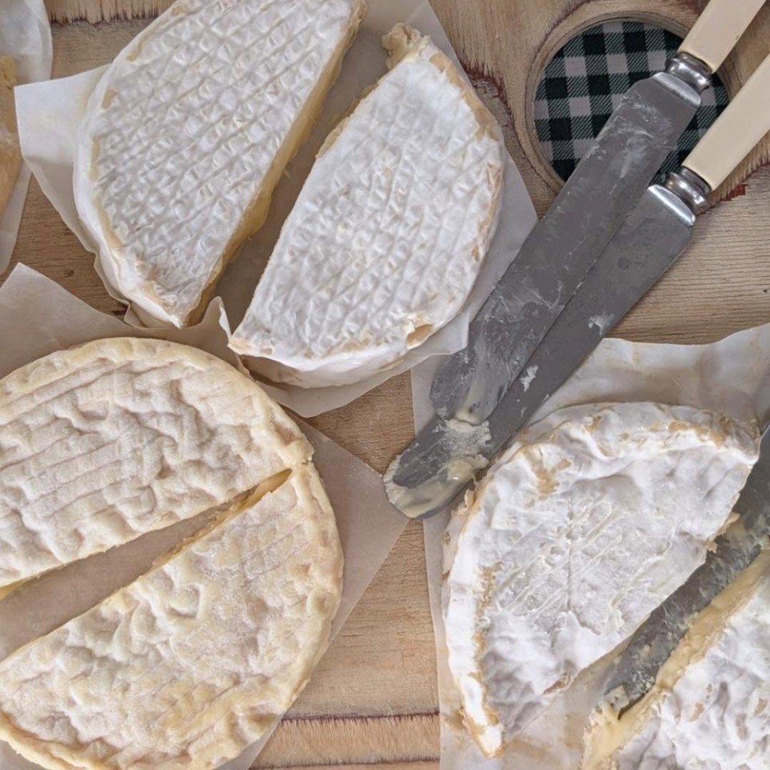cheese