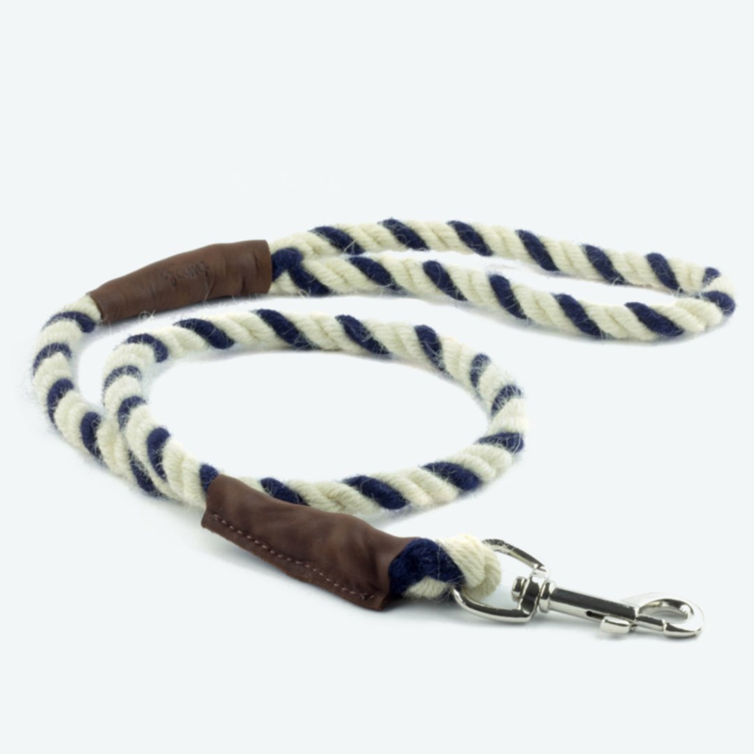 dog lead