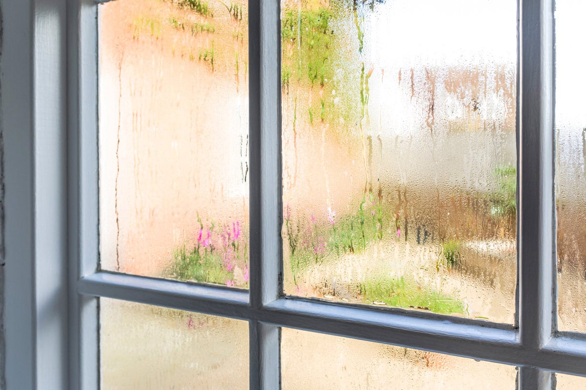 condensation on a window