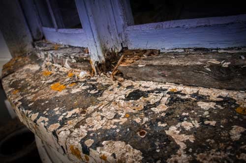 Sash Window Restoration Dorset