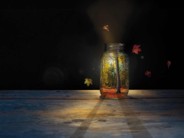 Creativity and storytelling