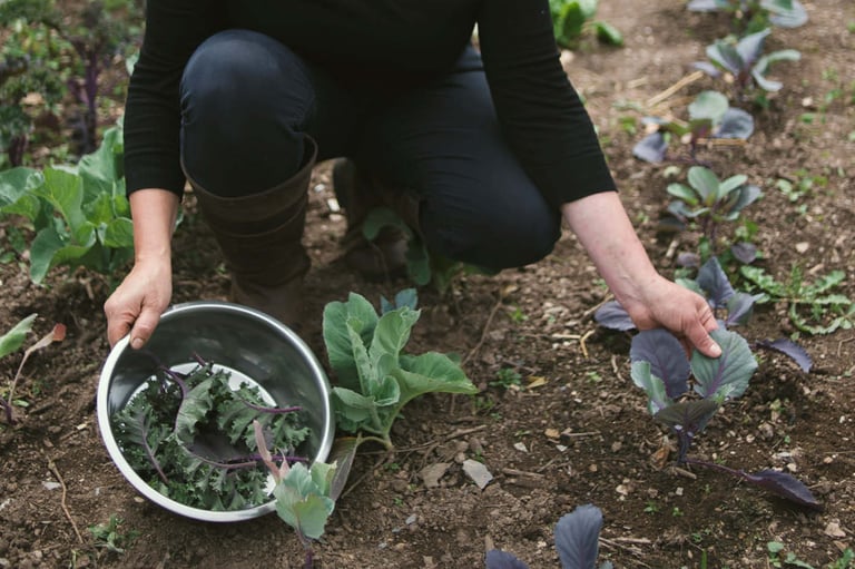 kitchen gardens, the bear and blacksmith