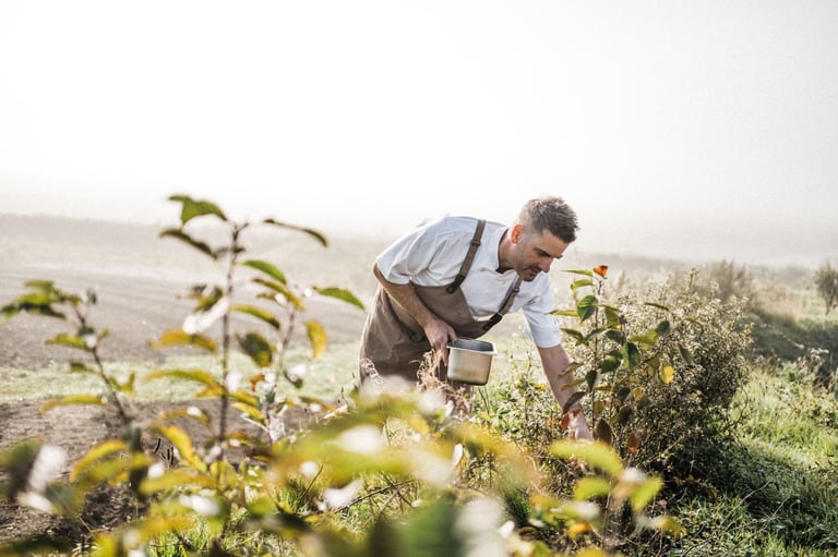Plot-to-plate dining, The Farmers Arms, foraging