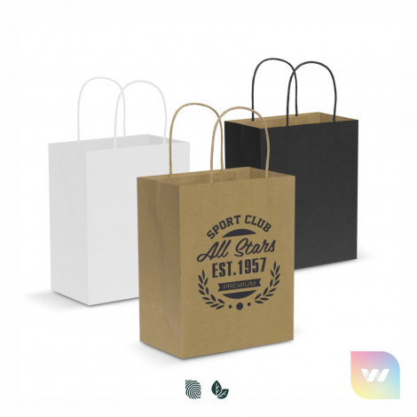 107586 - Paper Carry Bag - Medium
