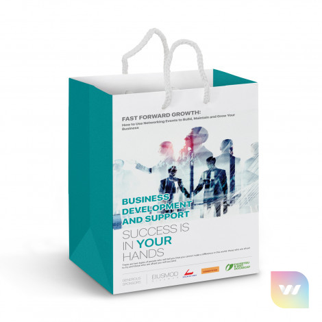 116936 - Medium Laminated Paper Carry Bag - Full Colour