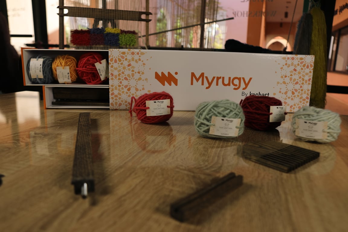 MyRugy Box contents: tufting gun, cloth, and essential tools.