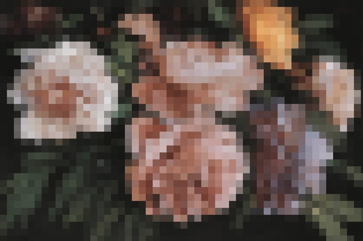 Sample output 2