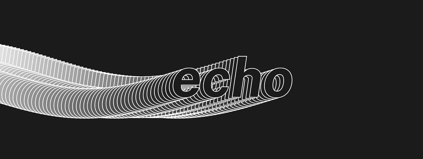 A screenshot of the Echo design algorithm.