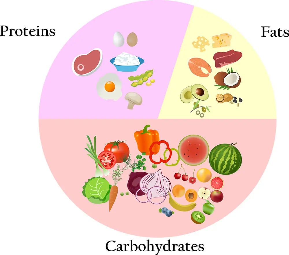 SOCCER NUTRITION & THE FOOTBALLERS DIET 5