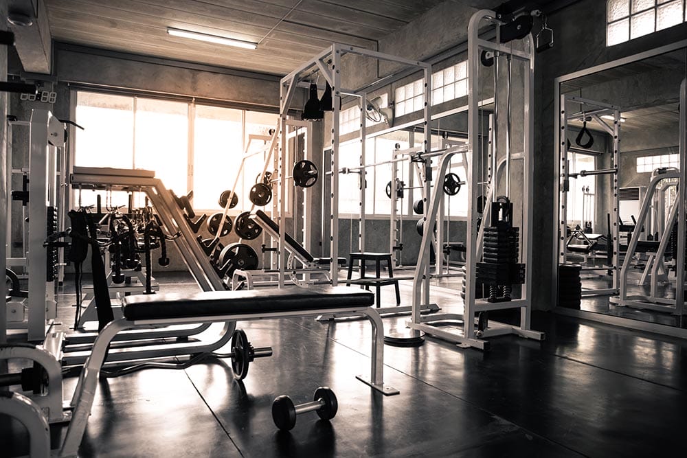 A gym floor of resistance machines and free weights beside a window