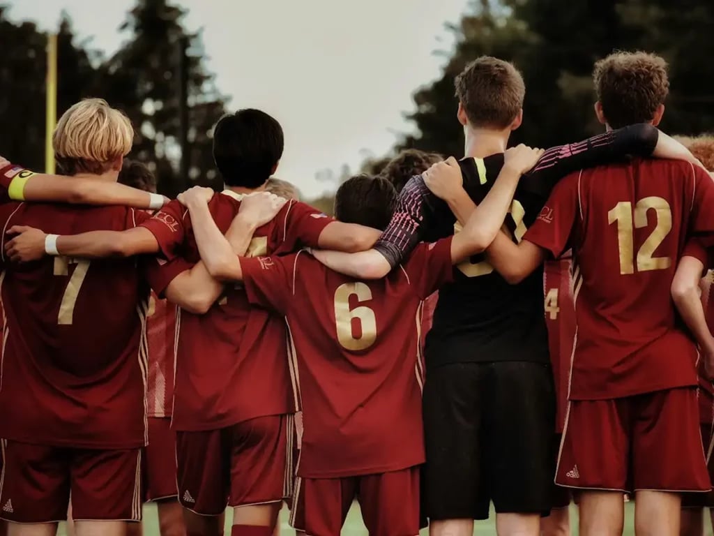 Mental Imagery in Football
