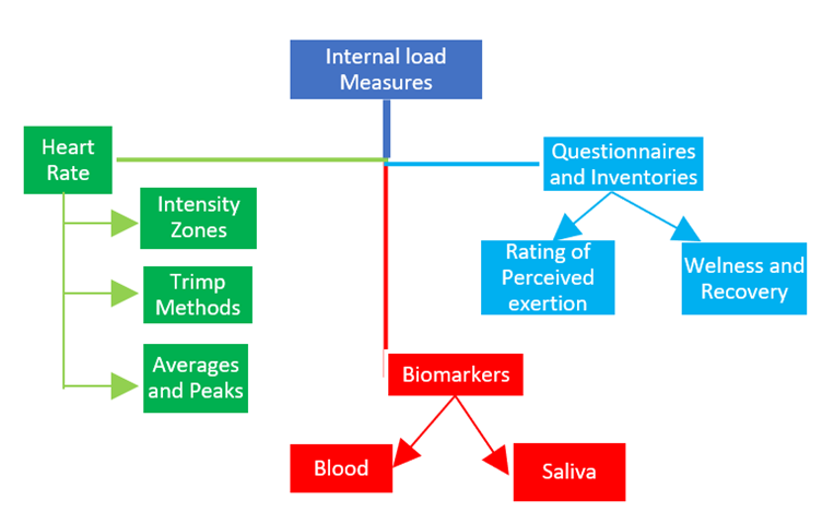Figure 1. Internal Monitoring Measures (Miguel, et al,. 2021).)