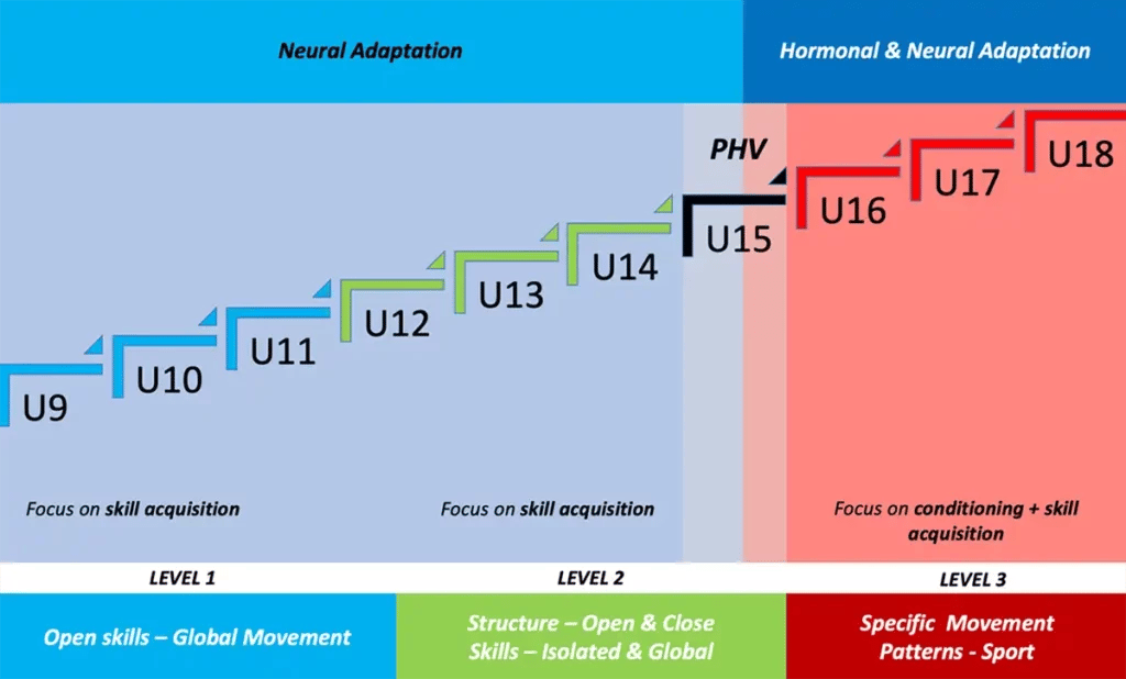 a diagram of the neural adaptation of young footballers