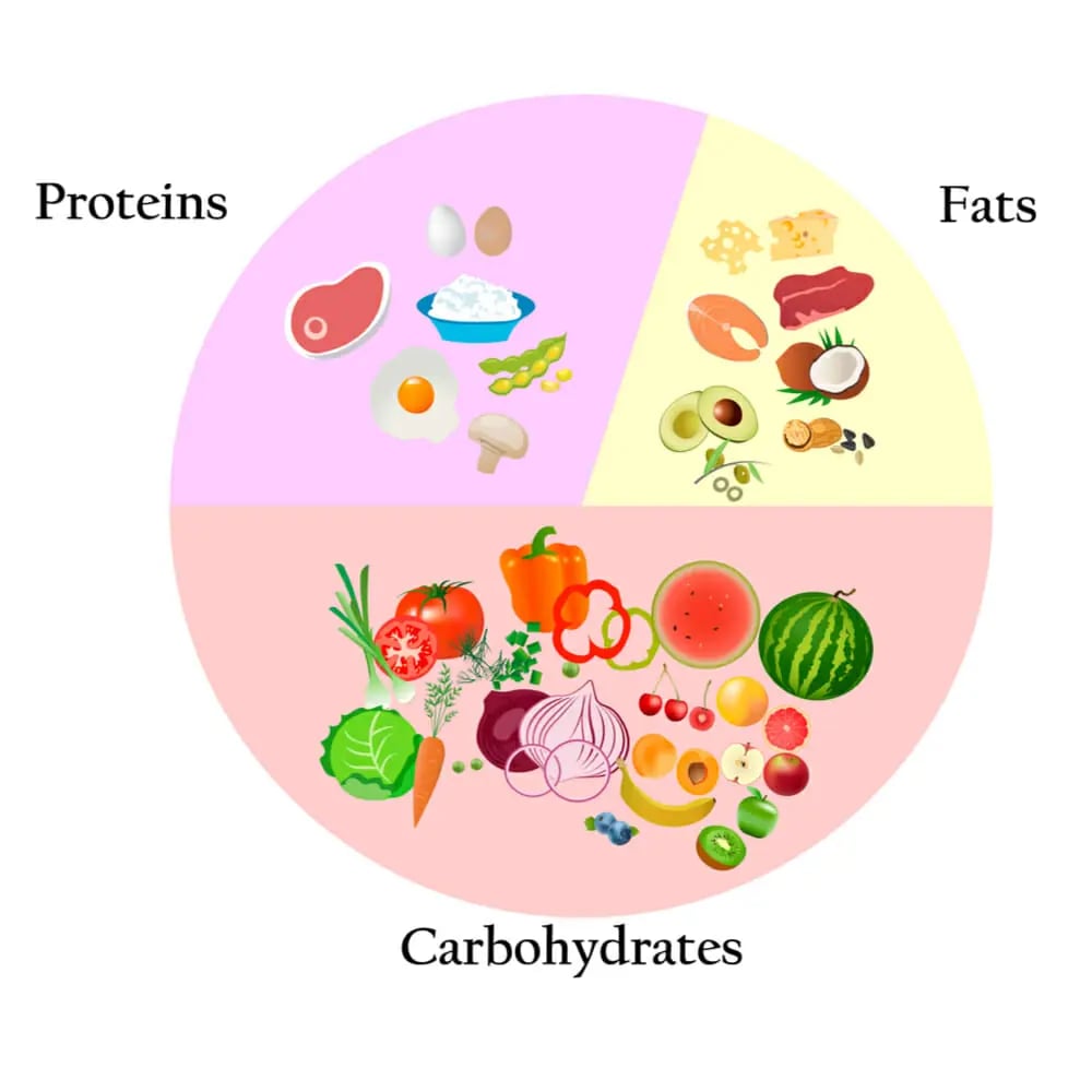 Soccer Player Diet 1