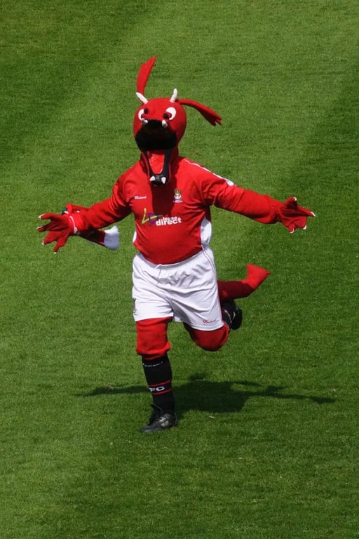 Wrexham AFC Mascot