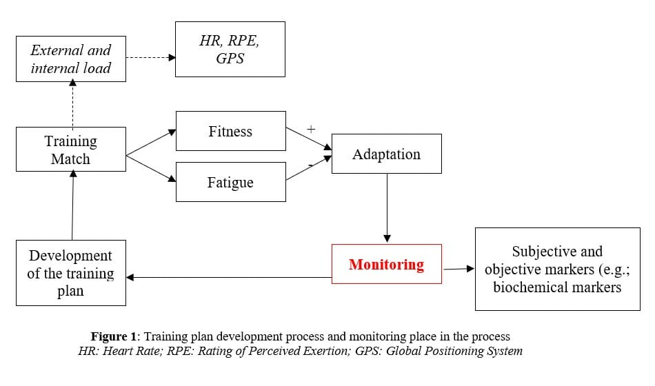 The effects of soccer training on haematological variations, immunological markers of muscle strength