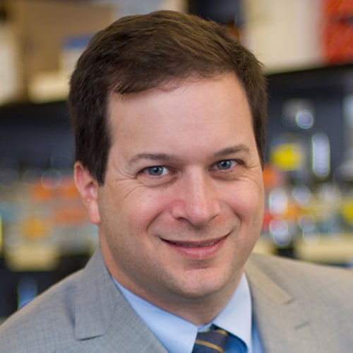 Andrew J. Wagner, MD, PhD - Dana-Farber ...