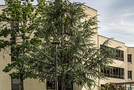 Photo of Spinal Diagnostics in Tualatin