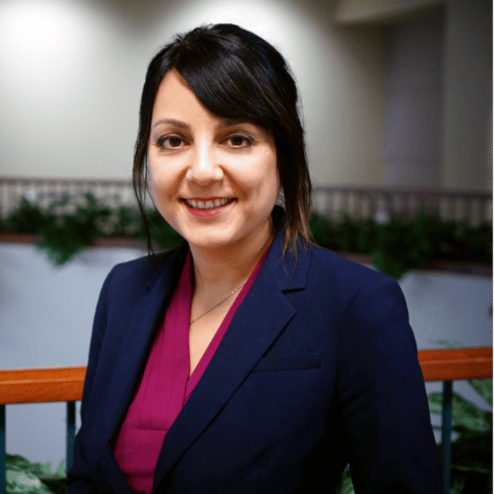 Hashemi Sadraei, Neda