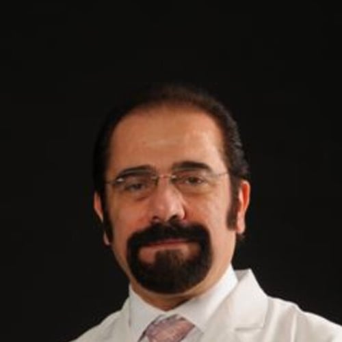 Issam MAKHOUL | Professor | Doctor of ...