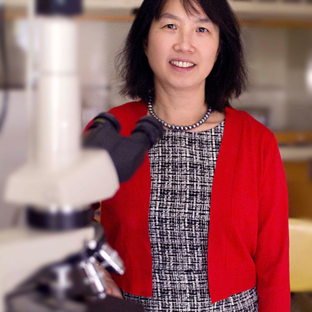 Chwan-Li (Leslie) Shen, Ph.D., C.C.R.P ...