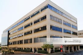 Photo of Forest Investigative Site 19 in Bellevue