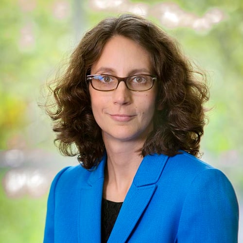 Sarah A. Holstein, MD, PhD | Department ...