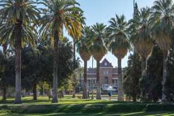 Image of University of Arizona in Tucson, United States.