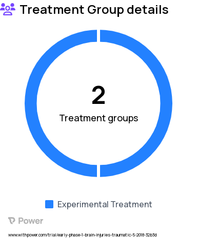 Traumatic Brain Injury Research Study Groups: Hyperpolarized [1-13C] Pyruvate, Hyperpolarized [2-13C] Pyruvate