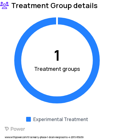 Brain Tumor Research Study Groups: Treatment (eribulin mesylate)