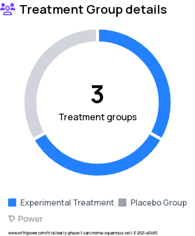 Squamous Cell Carcinoma Research Study Groups: 14 day medication group, 7 day medication group, Placebo group